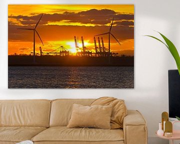 Sonnenuntergang zwischen den Windkraftanlagen auf der Maasvlakte Rotterdam