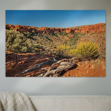 Kings Canyon von Markus Lange
