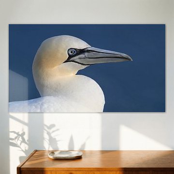 „Blaue Sicht“ des Jan-van-Gent von Jan Jongejan