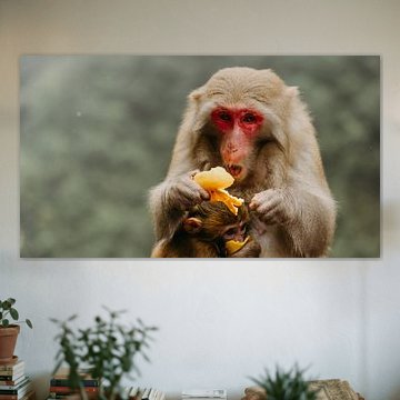 A Moment of Tenderness van Diederik De Mezel