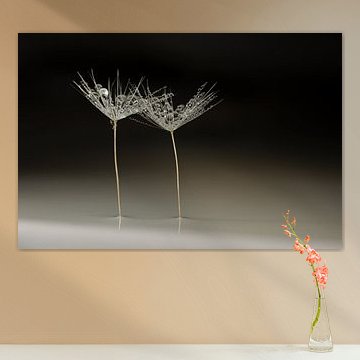 Together in the Void – Natural, chic botanical elegance