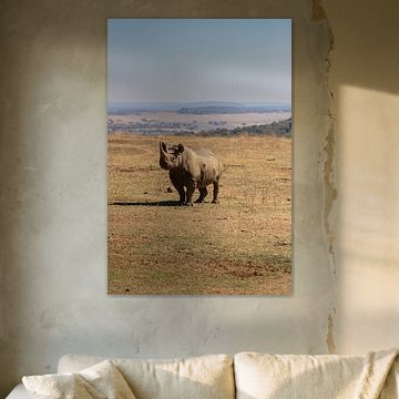 das schwarze Nashorn