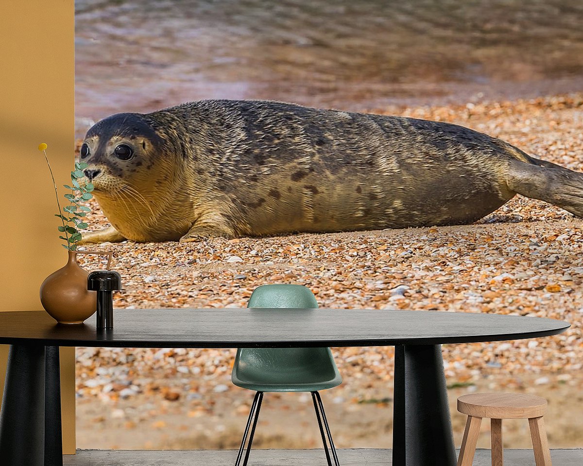 Raumvorschau