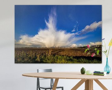 Rain shower over the polder by Thomas van der Willik