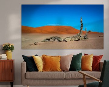 Dood hout in de Dode Vallei in de Namib woestijn