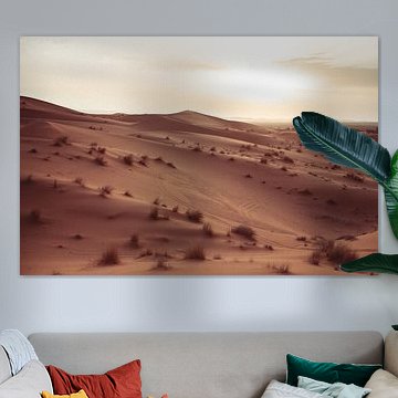 Sahara by Studio Maryse