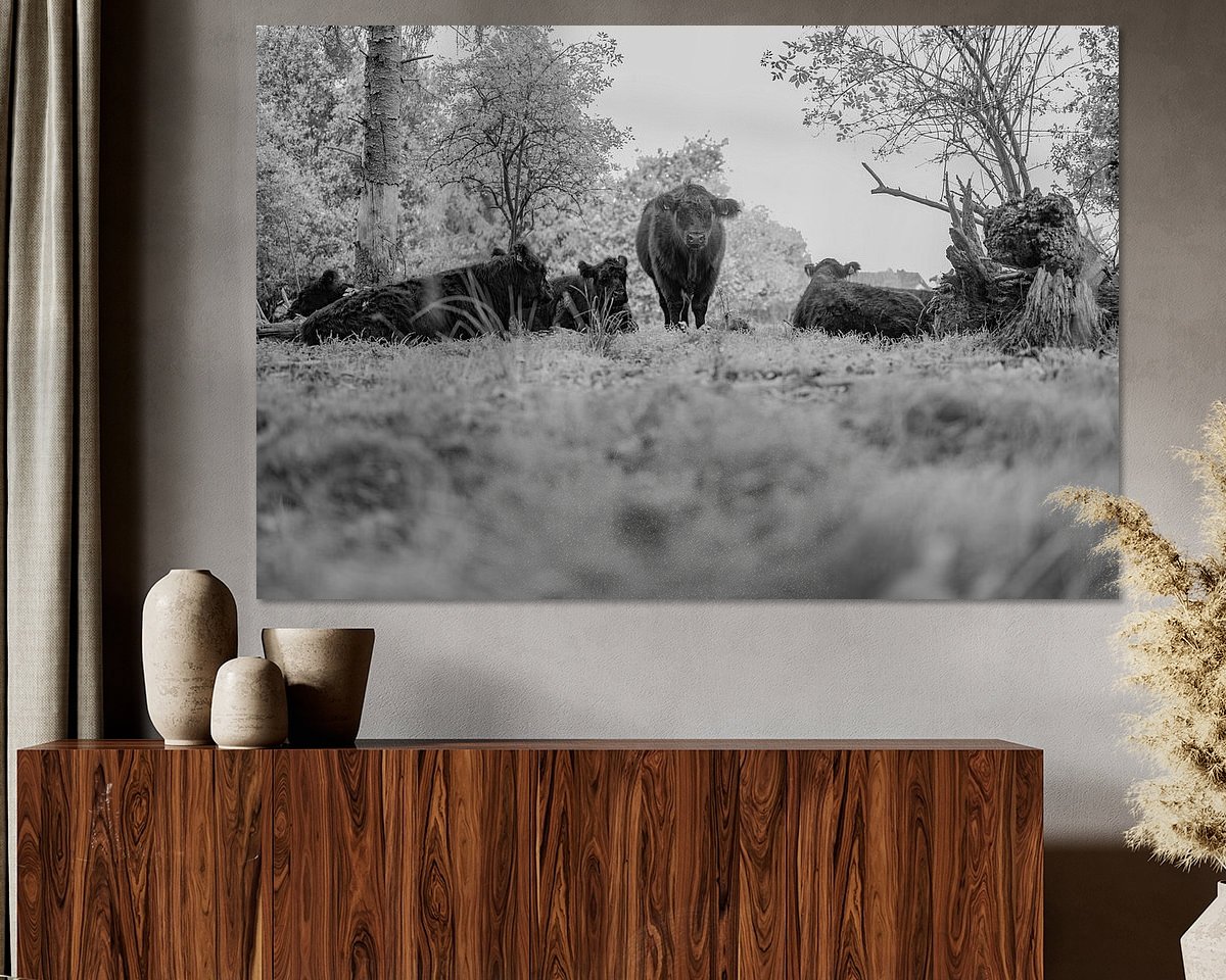 Raumvorschau