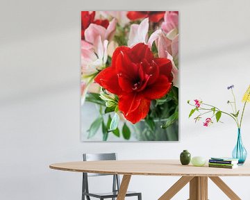 amaryllis bloemen in rose en rood van ChrisWillemsen