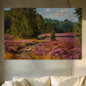 Randonnée d'automne