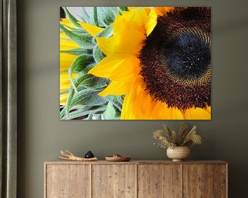 Sunflowers van Leonie Versantvoort