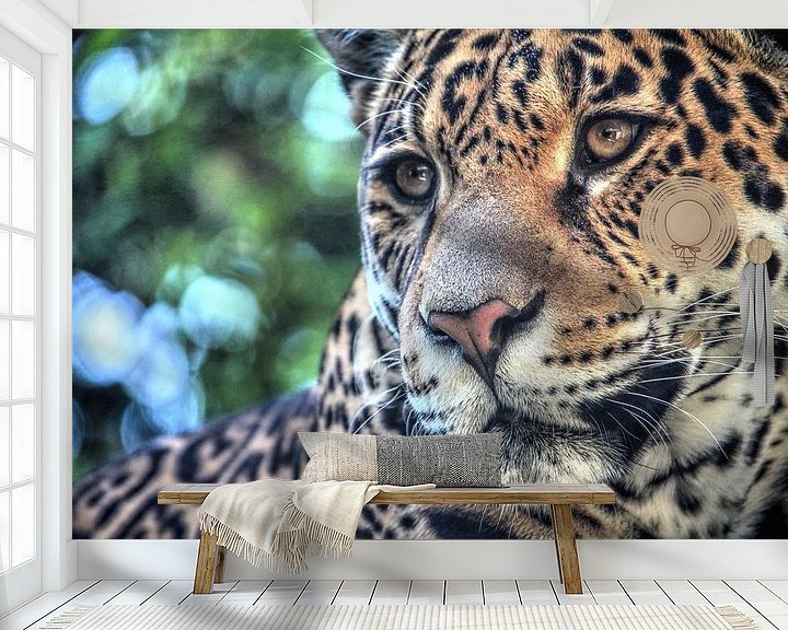 Sfeerimpressie behang: Jaguar portret  van Fotojeanique .