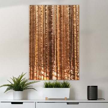 MoMA | Goldene Fäden von Bas de Glopper