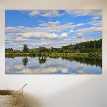 Uferlandschaft Schwackenreuter Seen mit Schottischen Hochlandrindern von BlattArt - Christine Horn