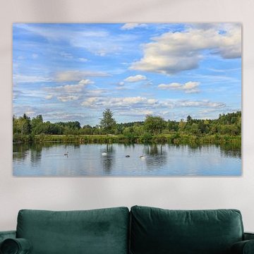Paysage riverain des lacs de Schwackenreuter avec des cygnes sur BlattArt - Christine Horn