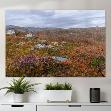 Plateau norvégien sur Daisy Renders