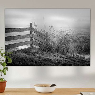 Zaun im Polder
