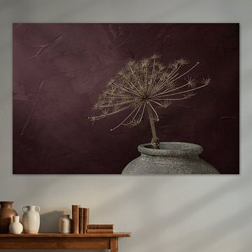 Grote gedroogde berenklauw & bordeaux/ aubergine