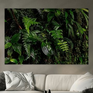 Costa Rica – where nature, adventure and pure beauty come together by Patrick Fotografeert