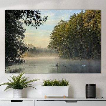 Uferlandschaft Schwackenreuter Seen im Morgenlicht mit Nebel und Schwänen von BlattArt - Christine Horn