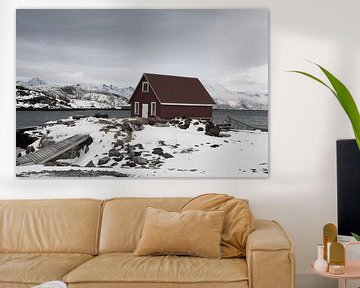 Houten vissershut bij een fjord op de eilanden Sommeroya and Hillesoya in Noord Noorwegen van Dennis Wierenga