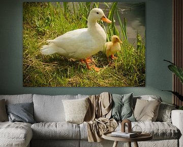 eend met eenden kuiken  by Lydia Remmers