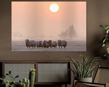Een kudde schapen tijdens zonsopkomst van Stephan Neven