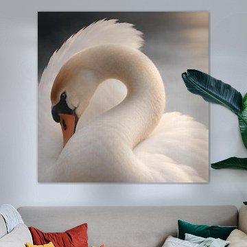 Élégance - Pays-Bas (Beaux-arts) sur A/B Design Studio