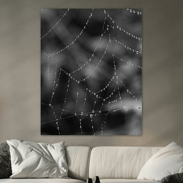 Glitzernde Morgentautropfen auf Spinnenseide – Makroaufnahme in Schwarz-Weiß von cr8image