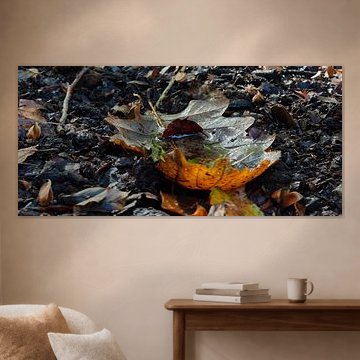 Autumn's Little Vessel