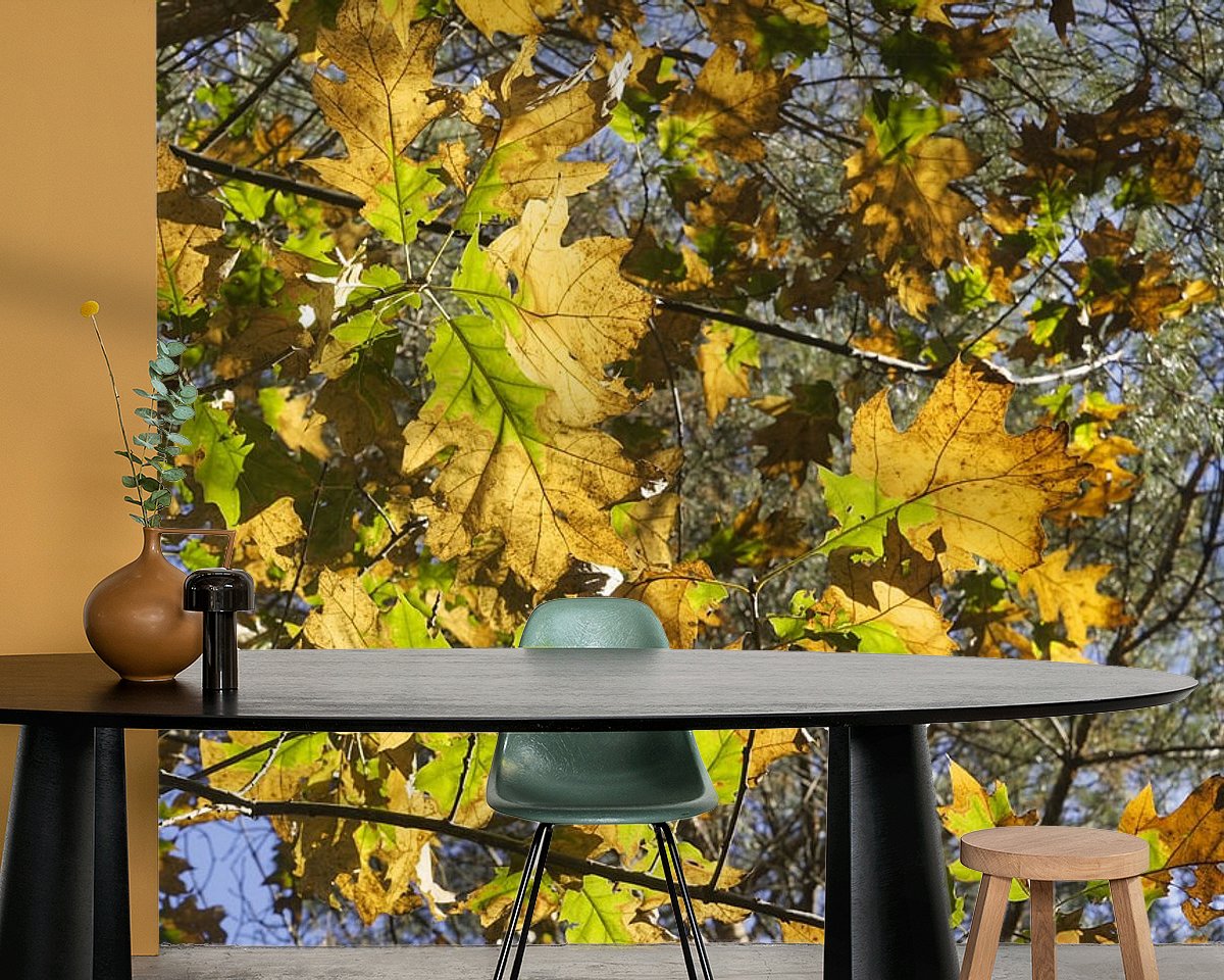 Raumvorschau