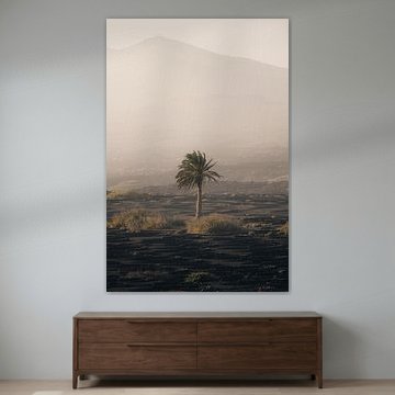 Palme von Marvin Schweer