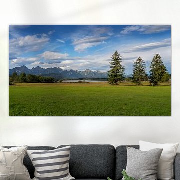 Le lac de Forggensee, derrière un pré verdoyant et de grands arbres