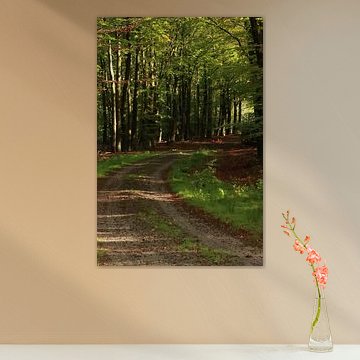 Path to Autumn – Stimmungsvolle Waldlandschaft von Mootjes