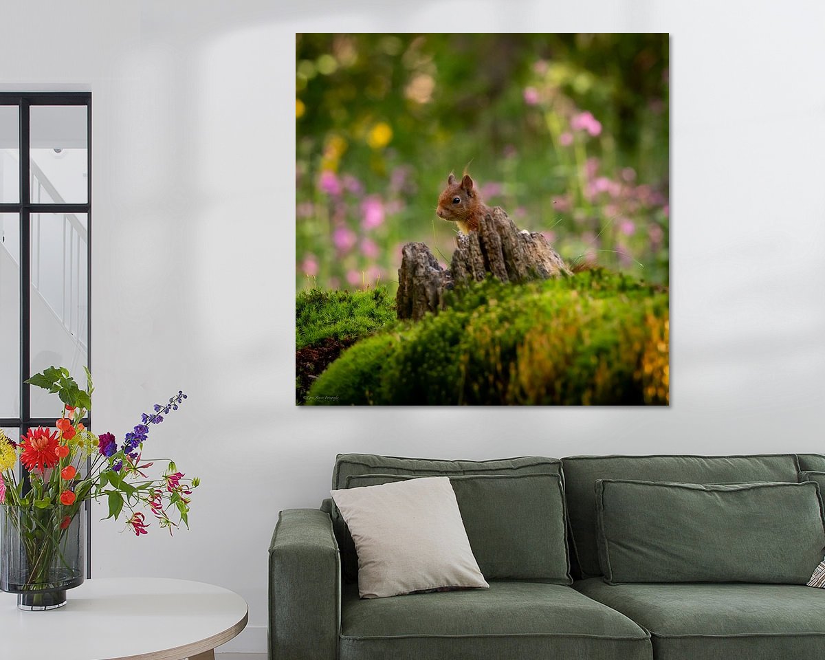 Raumvorschau