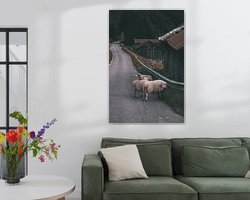 Aperçu de la chambre