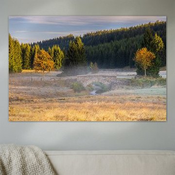 Schwarzwassertal im Morgenlicht