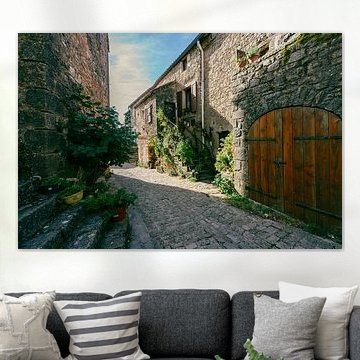 Reizvolle mittelalterliche Straße mit Pflanzen und Steinfassaden in Frankreich von Fechita Florentina Catalina