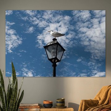 Seagull perched on a vintage street lamp against blue sky by Fechita Florentina Catalina