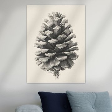 Pine Cone Pencil Study – Black and White Botanical Art