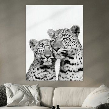 Leopard Mother and Cub – Black and White Animal Art