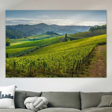 Chianti-Weinberge und das Dorf Radda in Chianti – Blick auf die Toskana