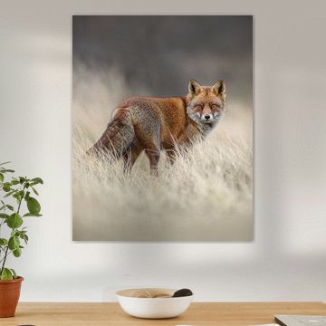 Fox by Dick van Duijn