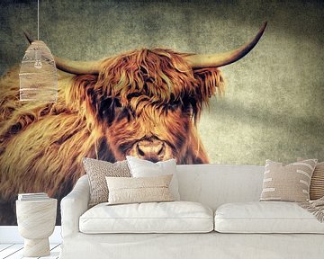 Highland Cattle von AD DESIGN Photo & PhotoArt