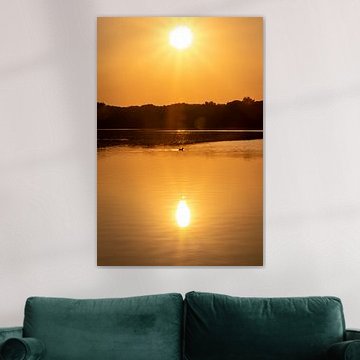 A romantic sunset by an idyllic lake, with sunshine and a solitary goose