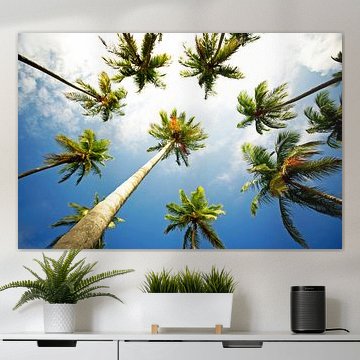 Caribische hemel - Palmbomen in Samana van Alberé de Ville