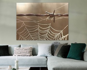 Barbed wire and dewdrops on a spider web by Sabine Tilburgs