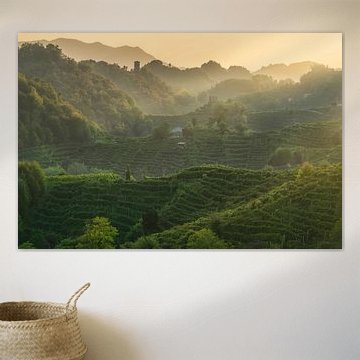 Coucher de soleil sur les collines du Prosecco, près du sanctuaire de Collagù, en Vénétie sur Stefano Orazzini