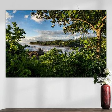Une baie tropicale entourée de verdure