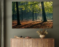 Aperçu de la chambre