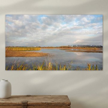 Munnikenland floodplains